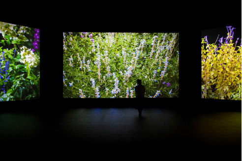 Annual international art exhibition to open in Beijing